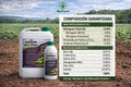 NutriFase Etapa 1 Radicular 13-40-13 | Fertilizante de Enraizamiento Alto en Fósforo | Litro