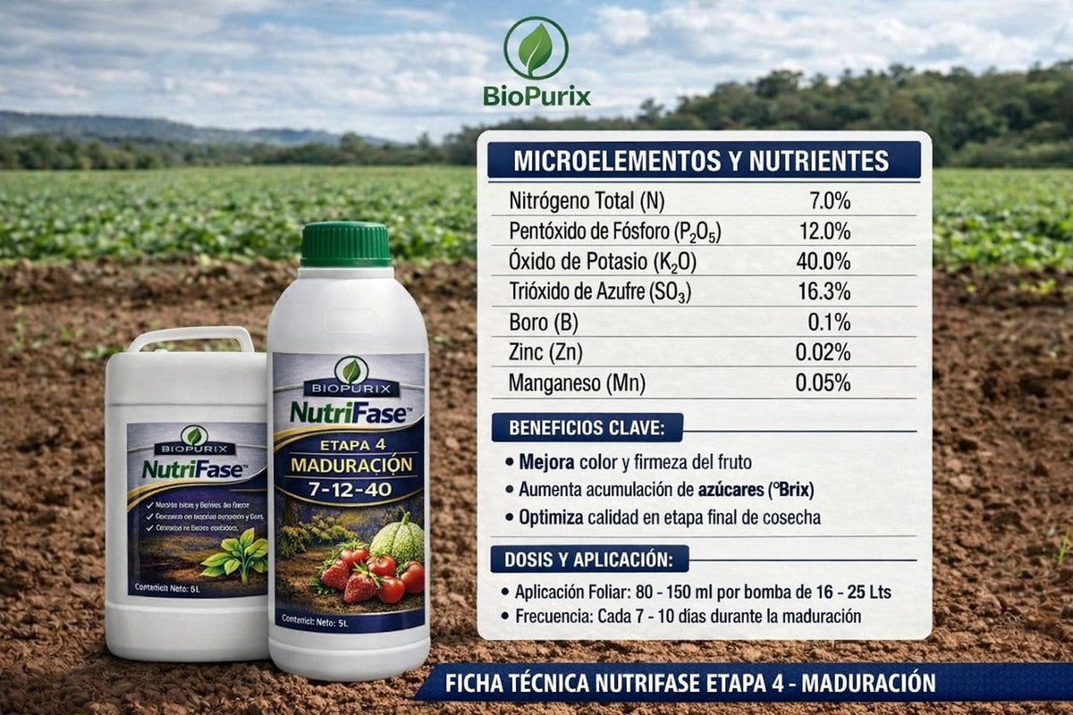 NutriFase Etapa 3 Floración 15-5-30 | Fertilizante para Floración y Cuajado de Frutos | Litro